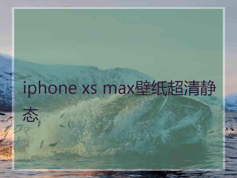 iphone xs max壁纸超清静态