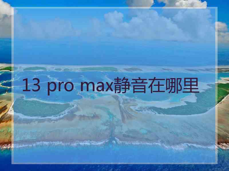 13 pro max静音在哪里