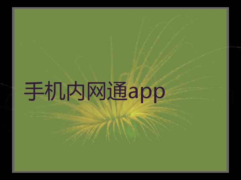 手机内网通app