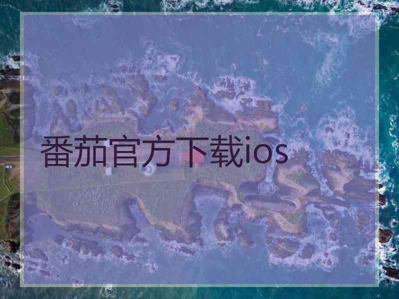 番茄官方下载ios