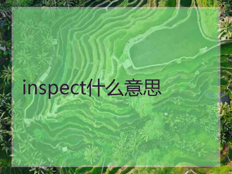 inspect什么意思