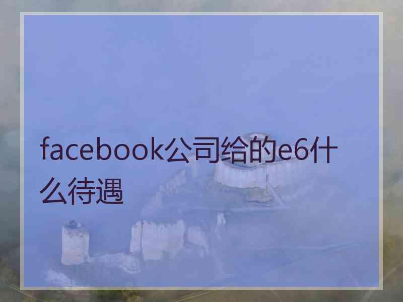 facebook公司给的e6什么待遇