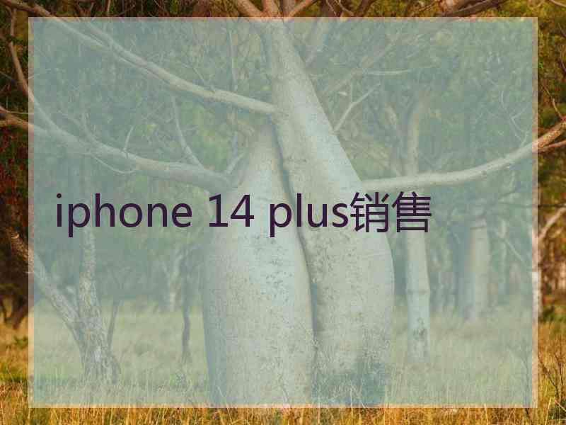 iphone 14 plus销售