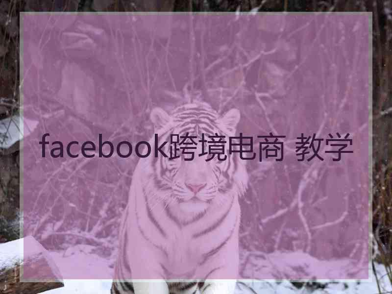 facebook跨境电商 教学