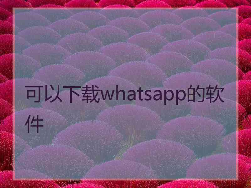 可以下载whatsapp的软件