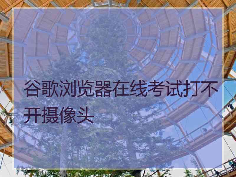 谷歌浏览器在线考试打不开摄像头