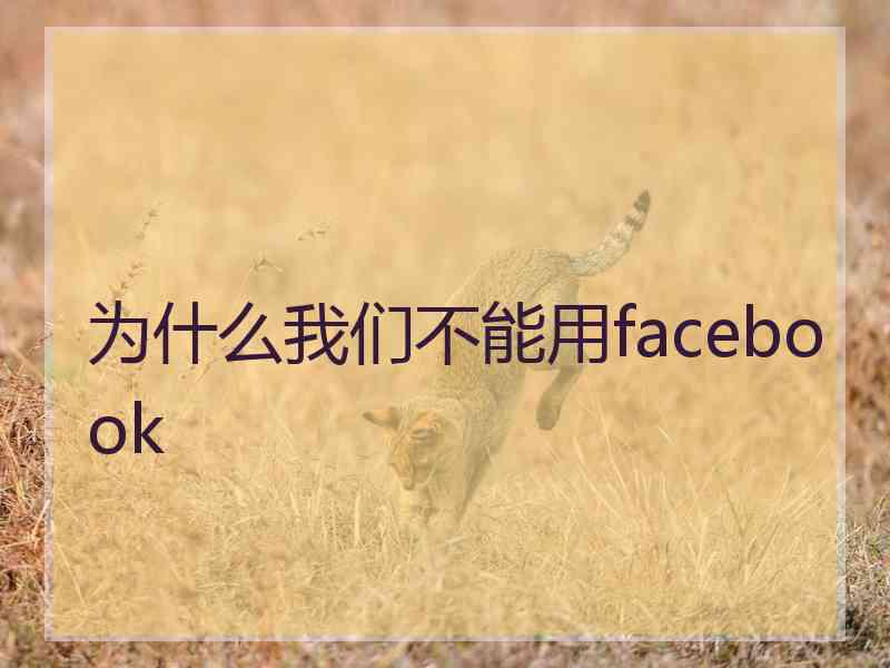 为什么我们不能用facebook