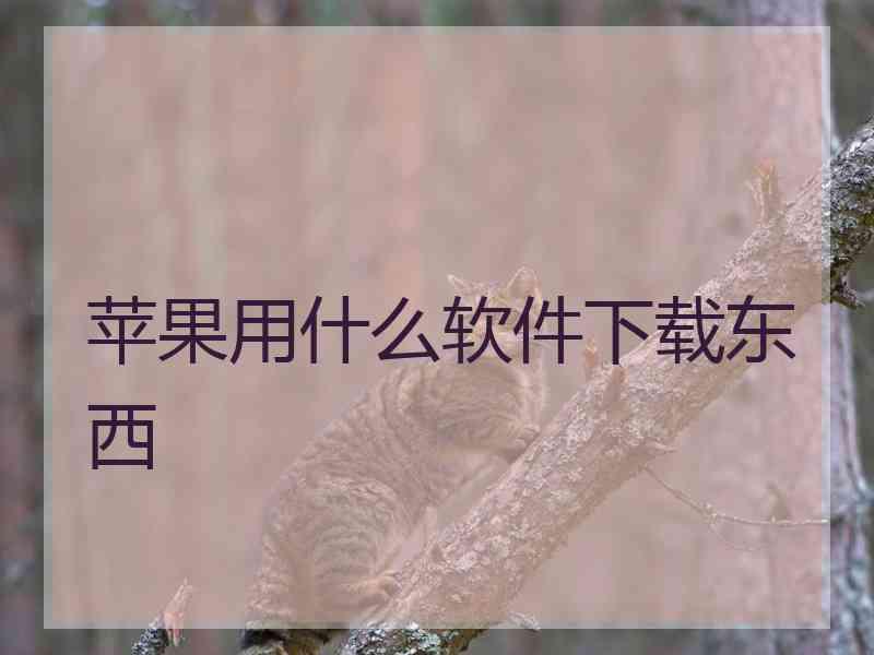 苹果用什么软件下载东西