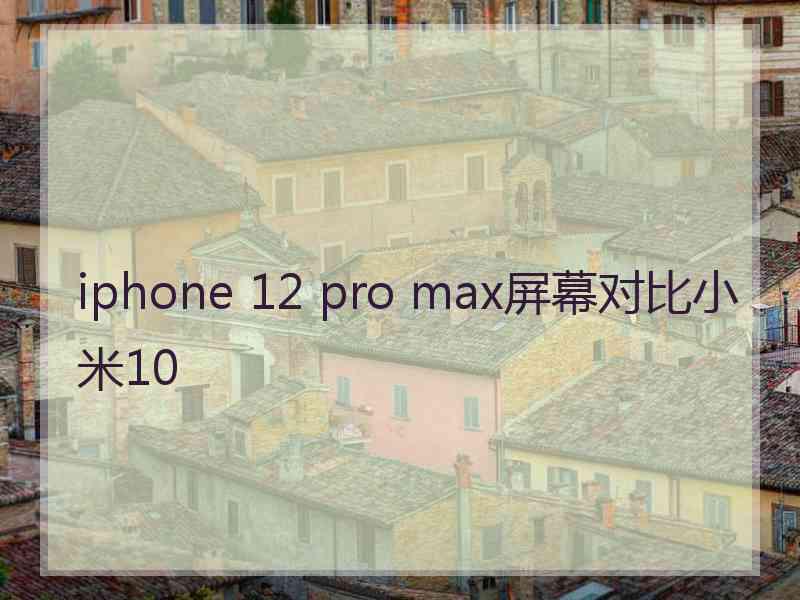 iphone 12 pro max屏幕对比小米10