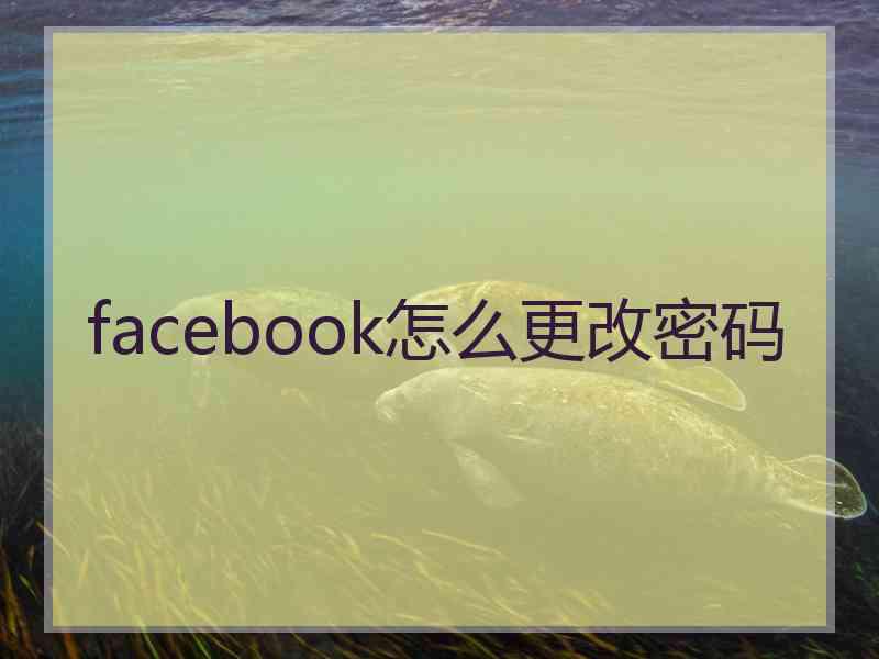 facebook怎么更改密码