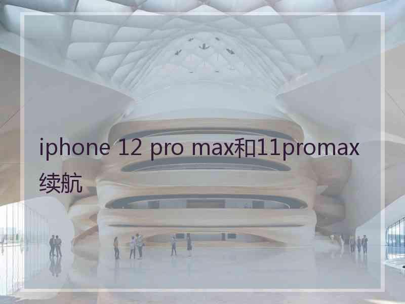 iphone 12 pro max和11promax续航