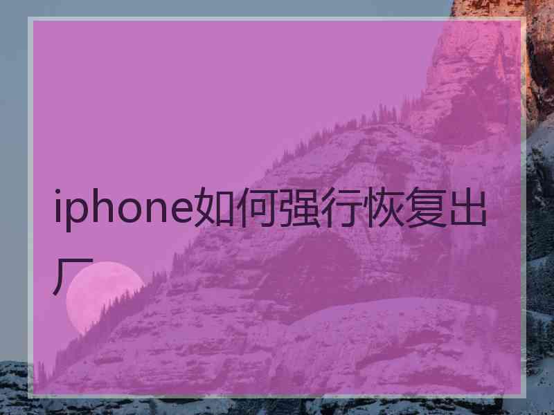 iphone如何强行恢复出厂