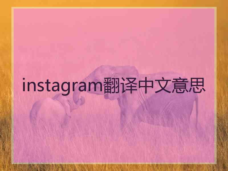 instagram翻译中文意思