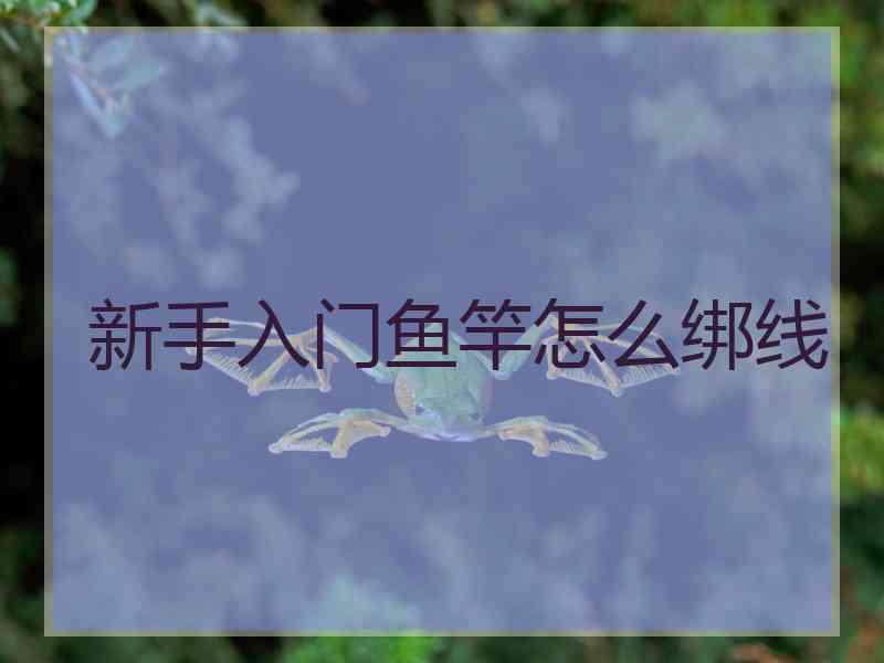 新手入门鱼竿怎么绑线