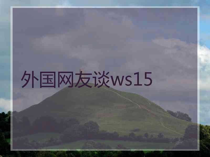 外国网友谈ws15