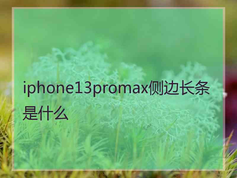 iphone13promax侧边长条是什么