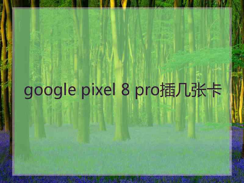 google pixel 8 pro插几张卡