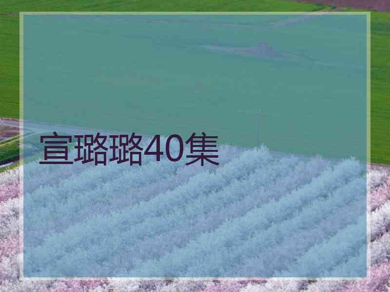 宣璐璐40集