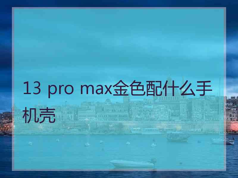 13 pro max金色配什么手机壳