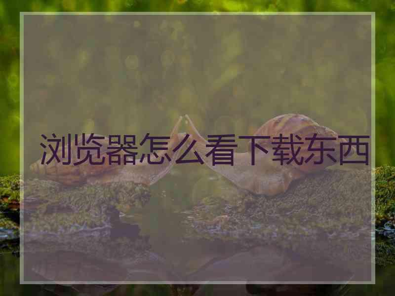 浏览器怎么看下载东西