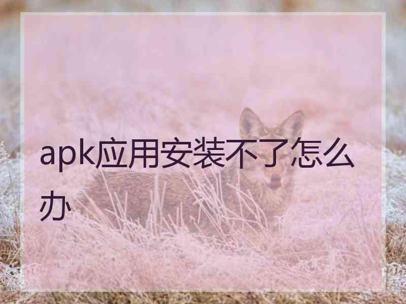 apk应用安装不了怎么办