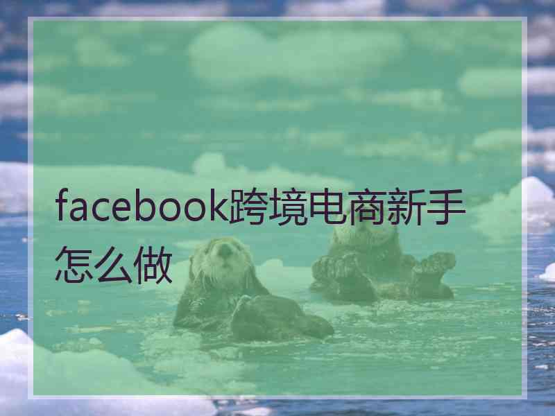 facebook跨境电商新手怎么做