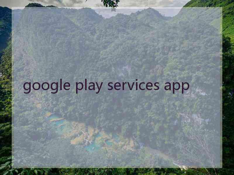 google play services app