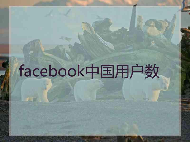 facebook中国用户数