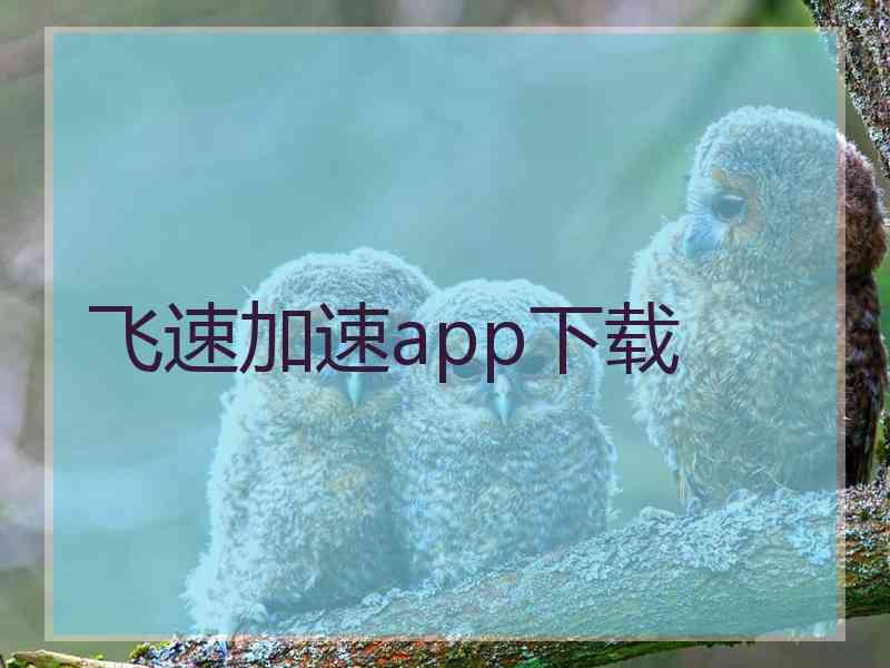 飞速加速app下载