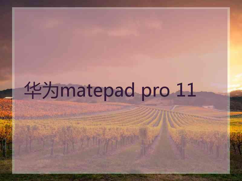 华为matepad pro 11