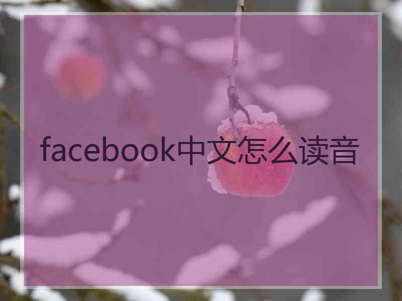 facebook中文怎么读音