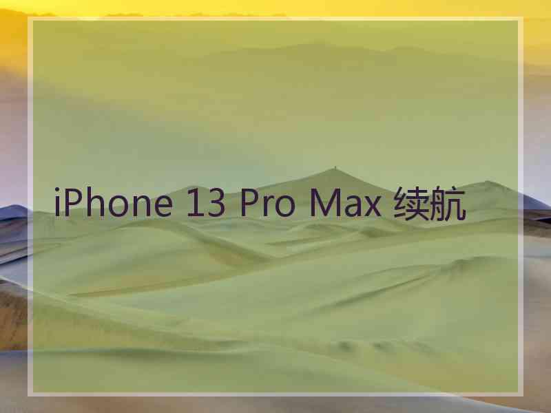 iPhone 13 Pro Max 续航