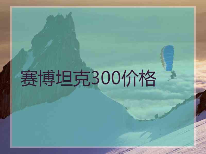 赛博坦克300价格