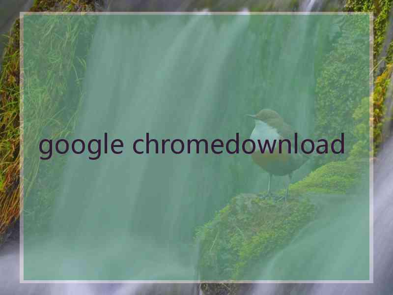 google chromedownload