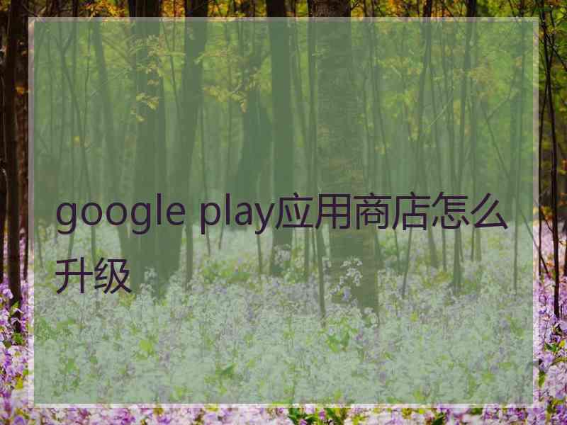 google play应用商店怎么升级