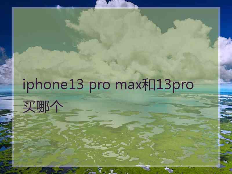 iphone13 pro max和13pro买哪个