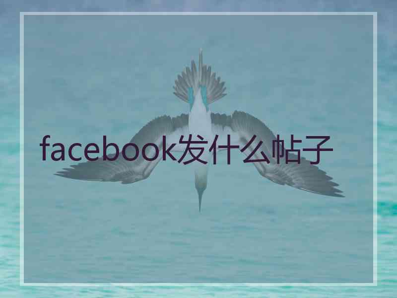 facebook发什么帖子