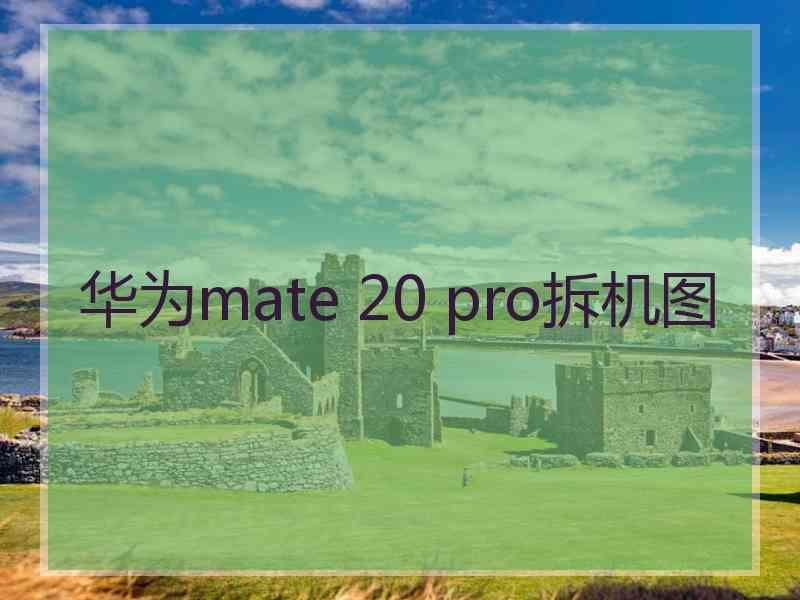 华为mate 20 pro拆机图