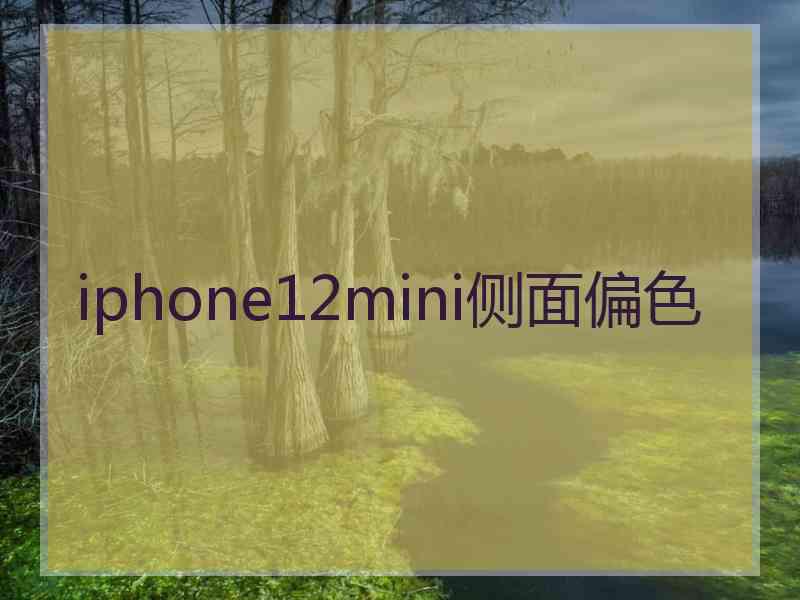 iphone12mini侧面偏色