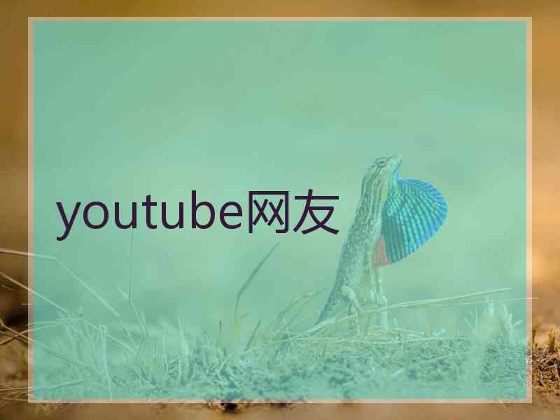 youtube网友