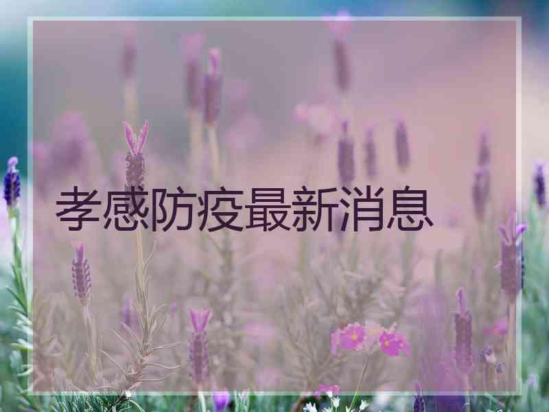 孝感防疫最新消息