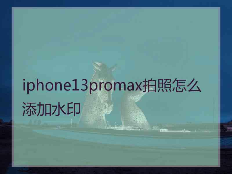 iphone13promax拍照怎么添加水印