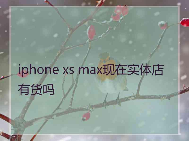 iphone xs max现在实体店有货吗