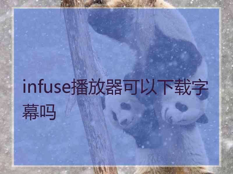 infuse播放器可以下载字幕吗