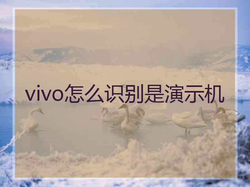 vivo怎么识别是演示机