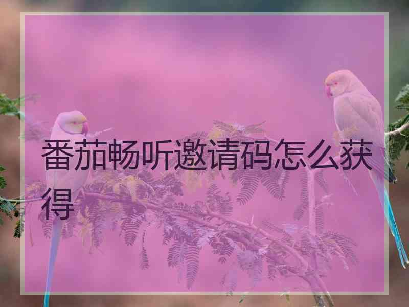 番茄畅听邀请码怎么获得