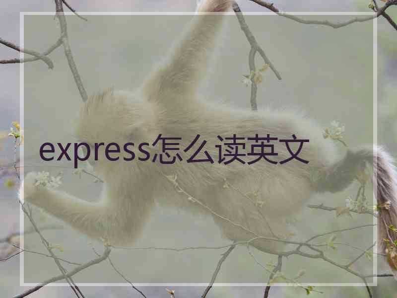 express怎么读英文