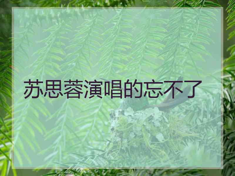 苏思蓉演唱的忘不了