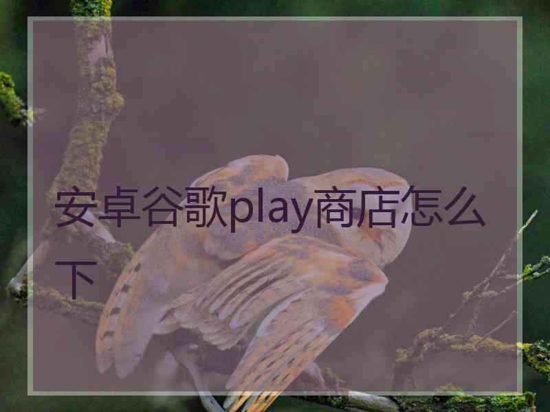 安卓谷歌play商店怎么下