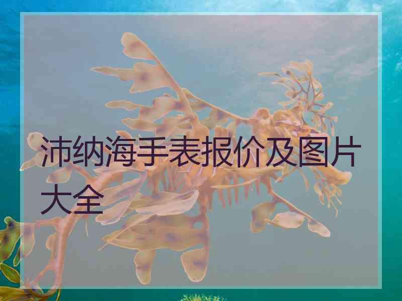 沛纳海手表报价及图片大全